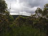 P5010075.JPG